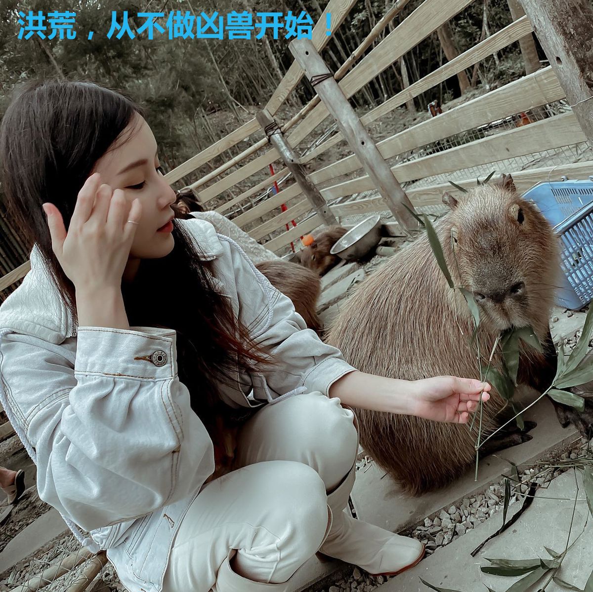 洪荒,从不做凶兽开始!