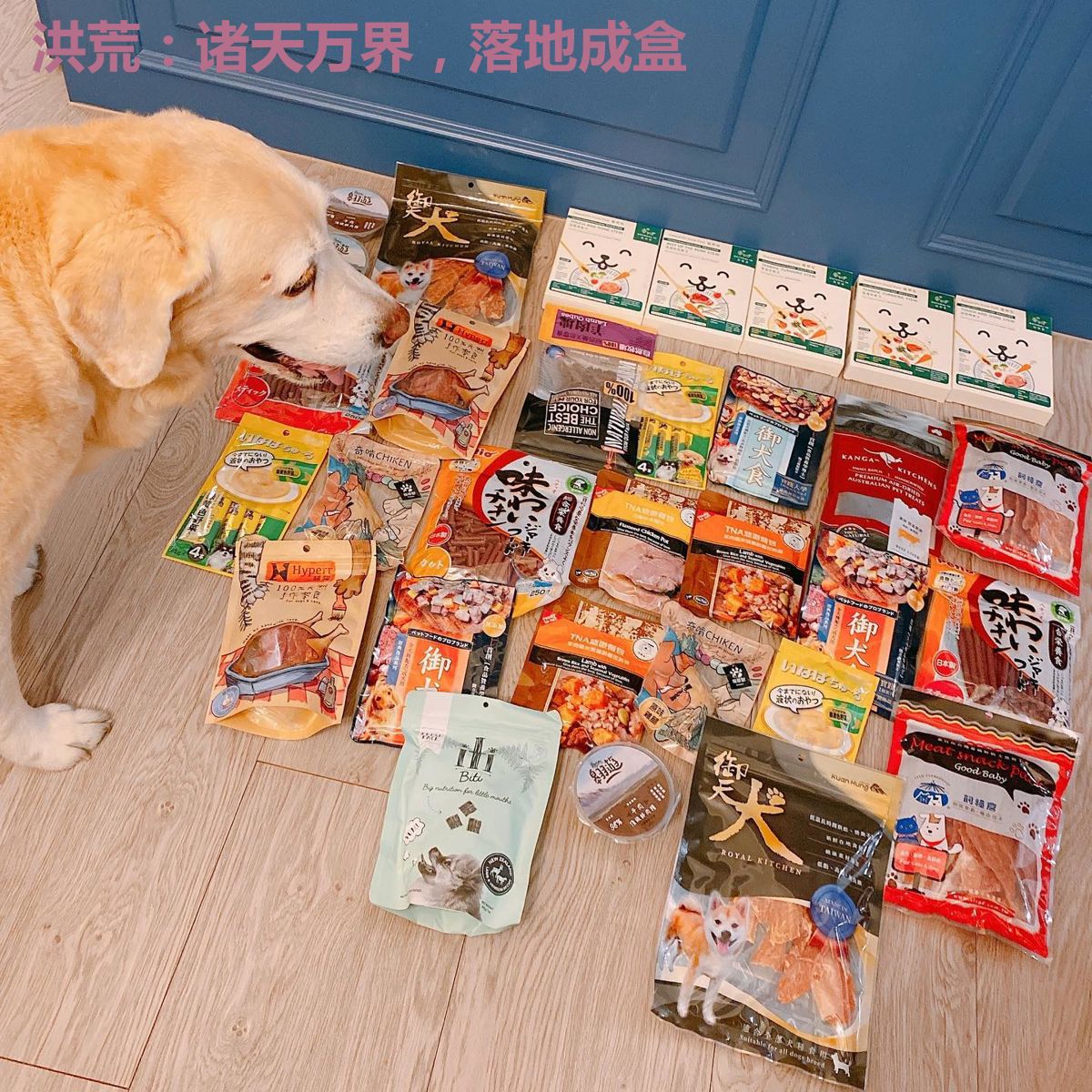 洪荒:诸天万界,落地成盒