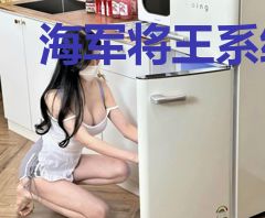 海军将王系统之最强单兵