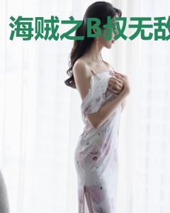 海贼之B叔无敌