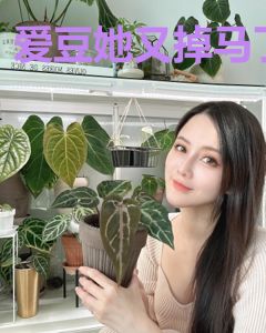 爱豆她又掉马了