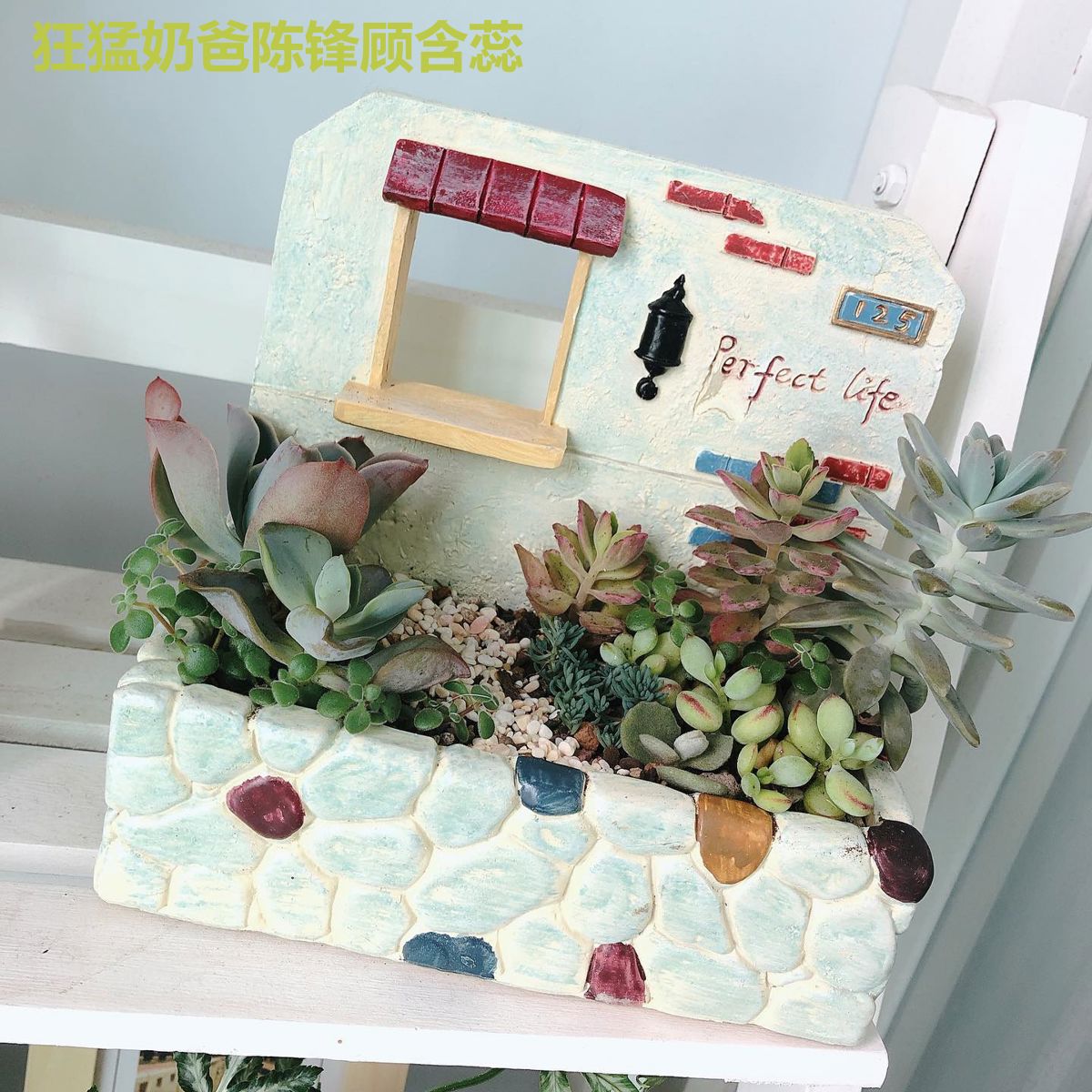 狂猛奶爸陈锋顾含蕊