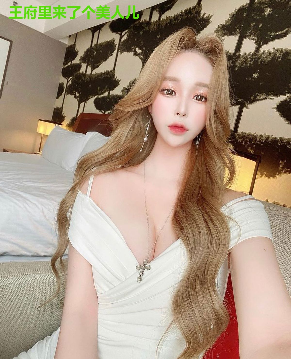 王府里来了个美人儿