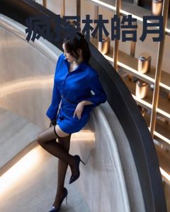 疯探林皓月