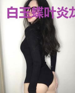 白玉蝶叶炎龙