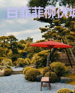 白菲菲柳伏城