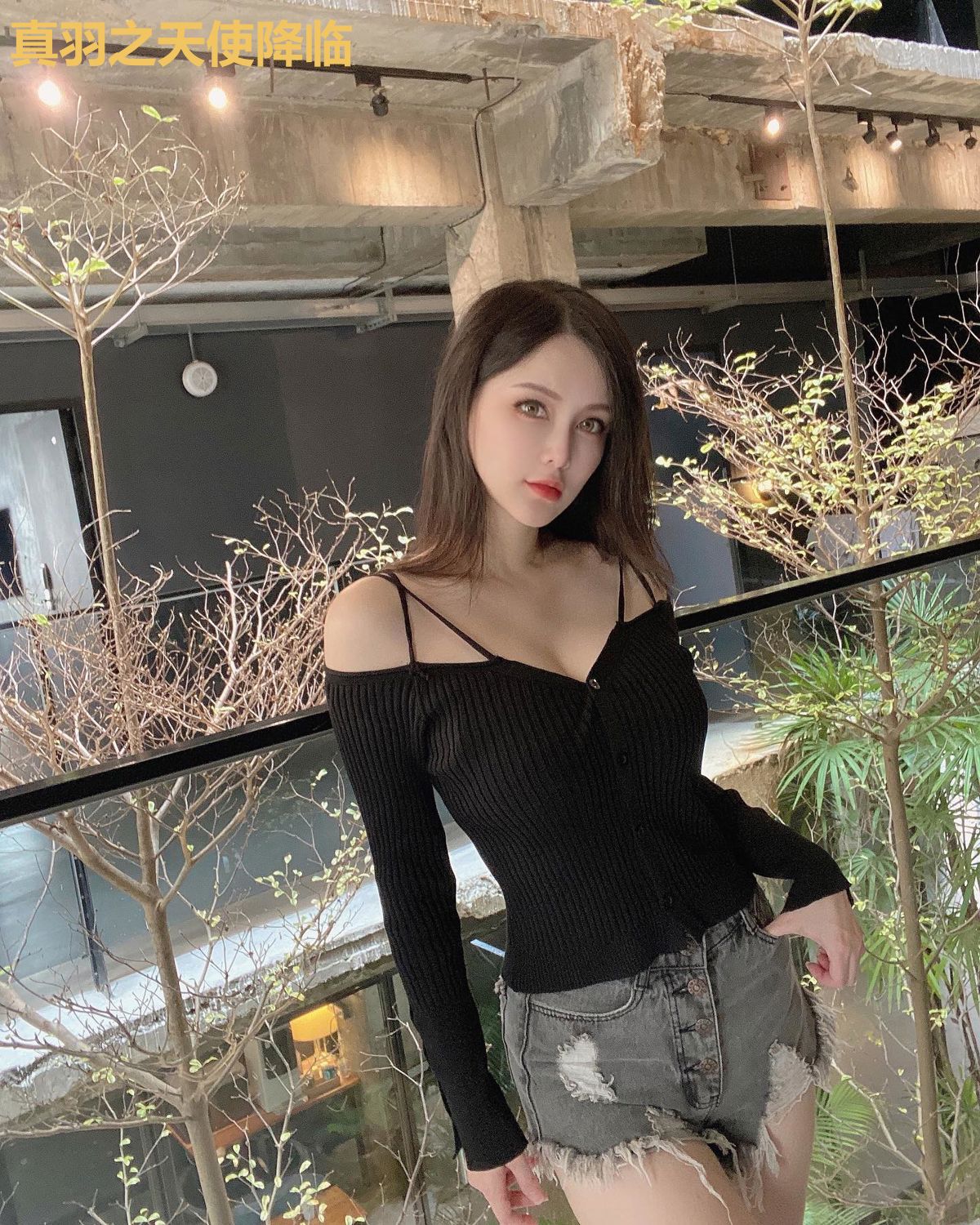 真羽之天使降临