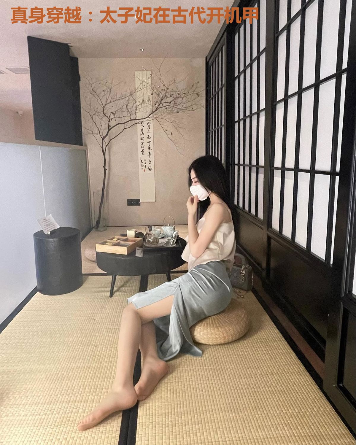 真身穿越:太子妃在古代开机甲