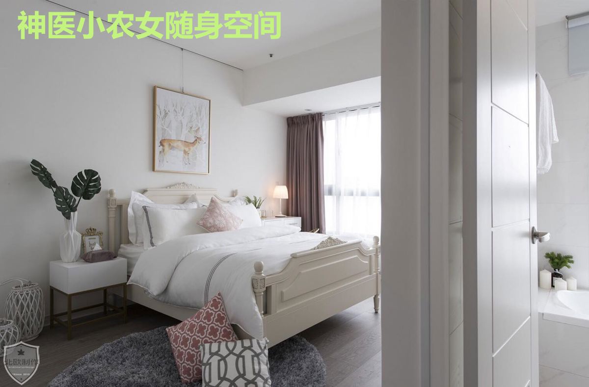 神医小农女随身空间