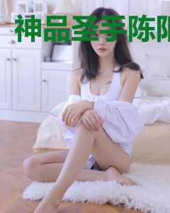 神品圣手陈阳