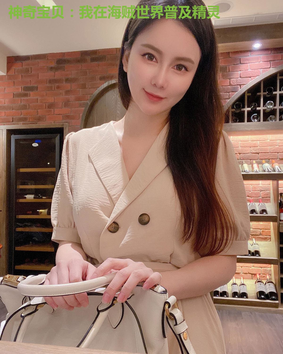 神奇宝贝:我在海贼世界普及精灵