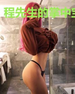 程先生的掌中宝