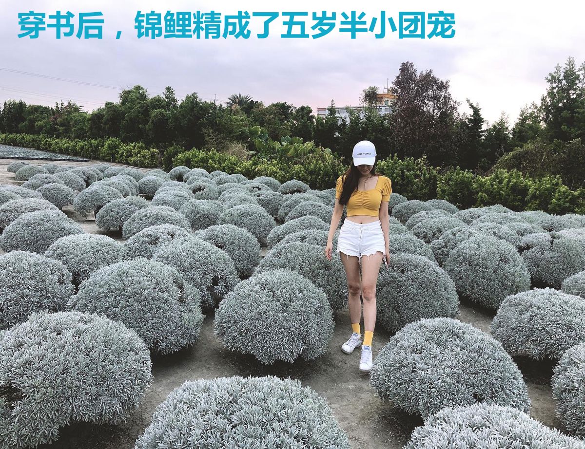 穿书后,锦鲤精成了五岁半小团宠