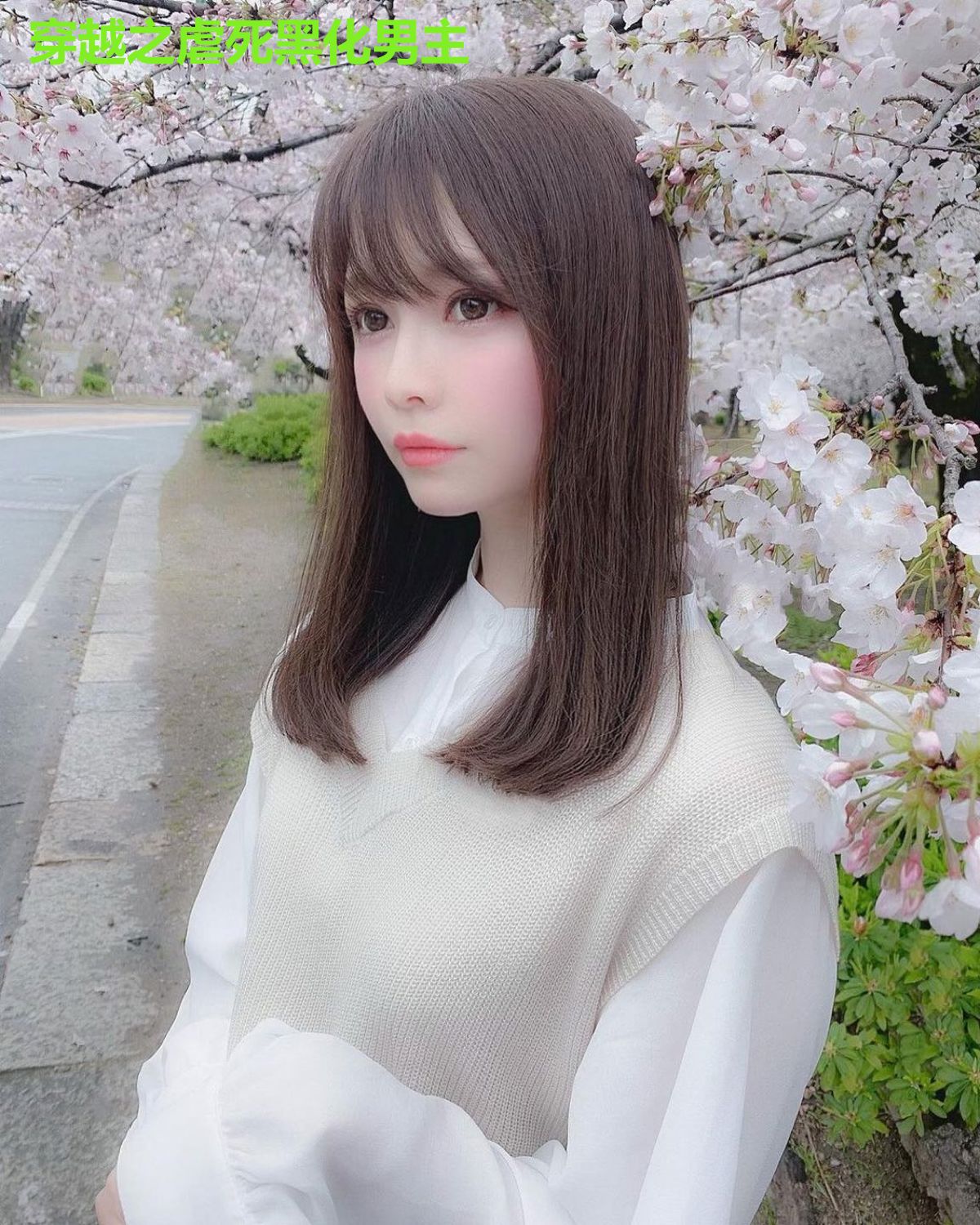 穿越之虐死黑化男主