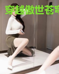 穿越傲世苍穹