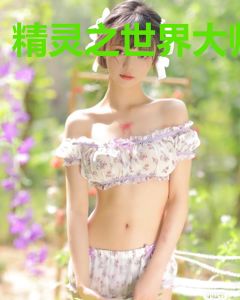 精灵之世界大师