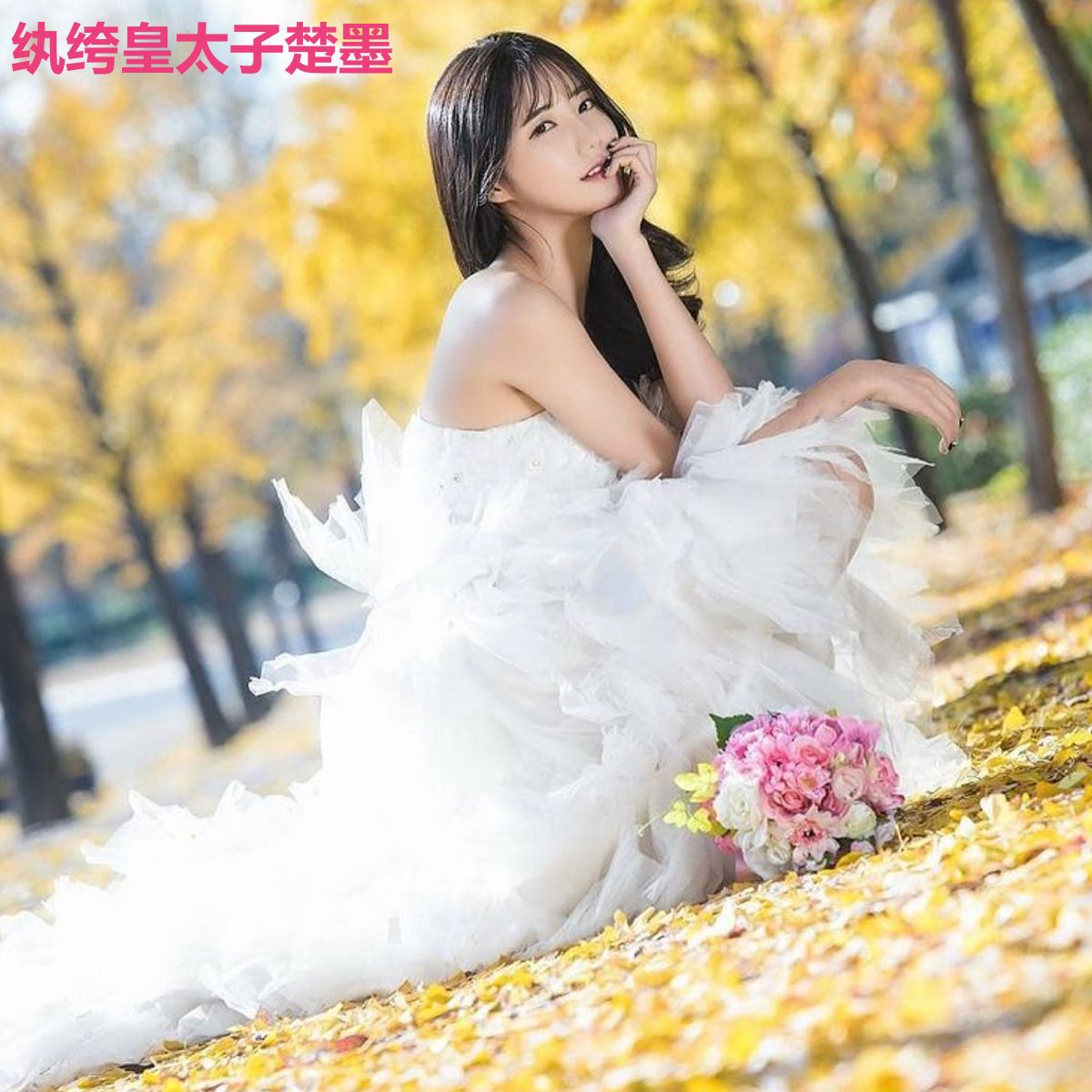 纨绔皇太子楚墨