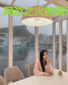 网游之火的解释