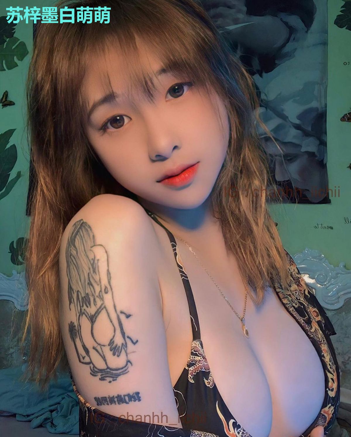 苏梓墨白萌萌