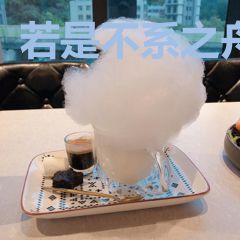 若是不系之舟