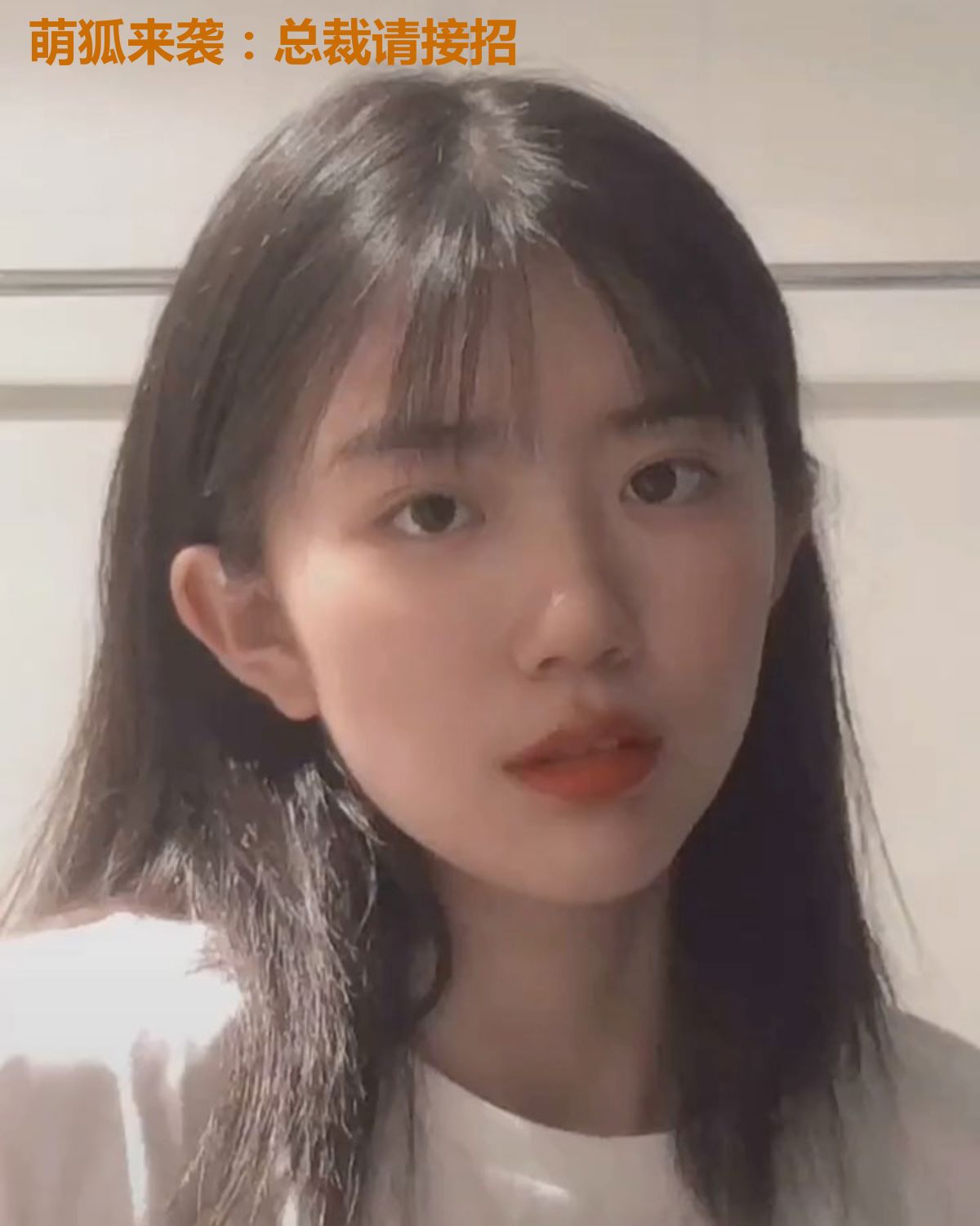 萌狐来袭:总裁请接招