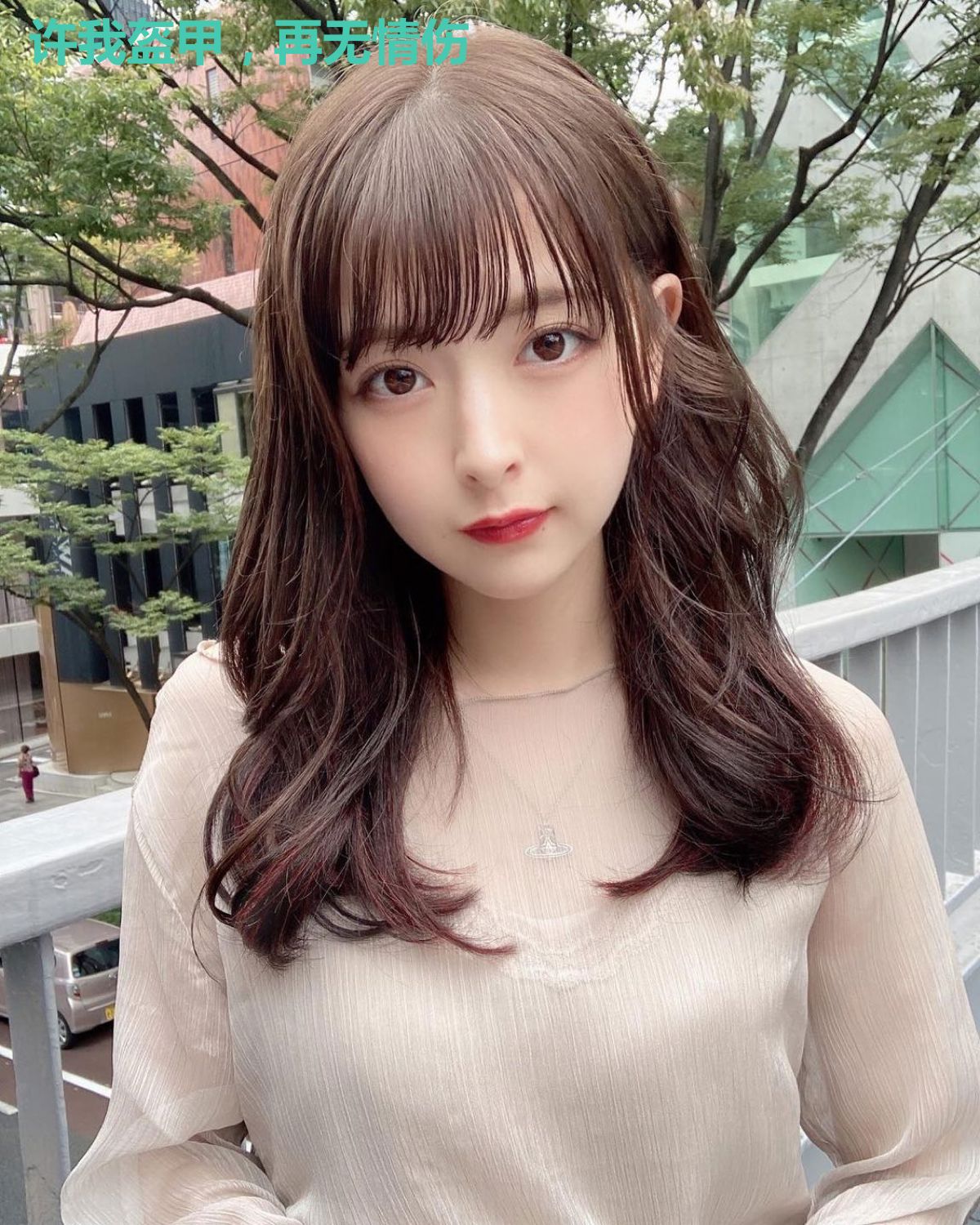 许我盔甲,再无情伤