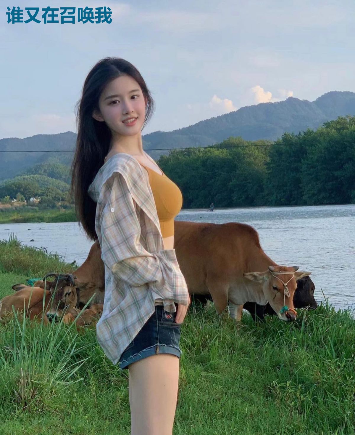谁又在召唤我