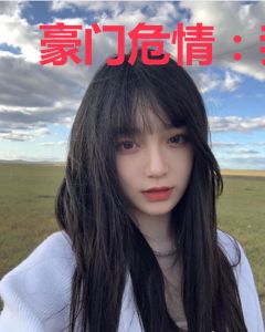 豪门危情：我的律政小宝贝陆鸣鸿