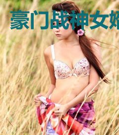 豪门战神女婿