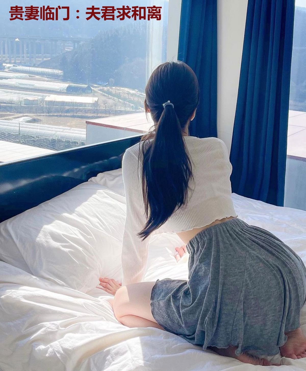 贵妻临门:夫君求和离