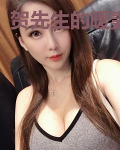 贺先生的暖妻