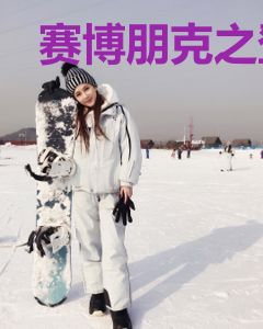 赛博朋克之登上荒坂成为传奇