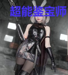 超能鉴宝师