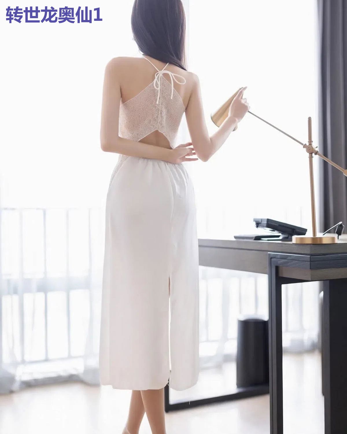 转世龙奥仙1