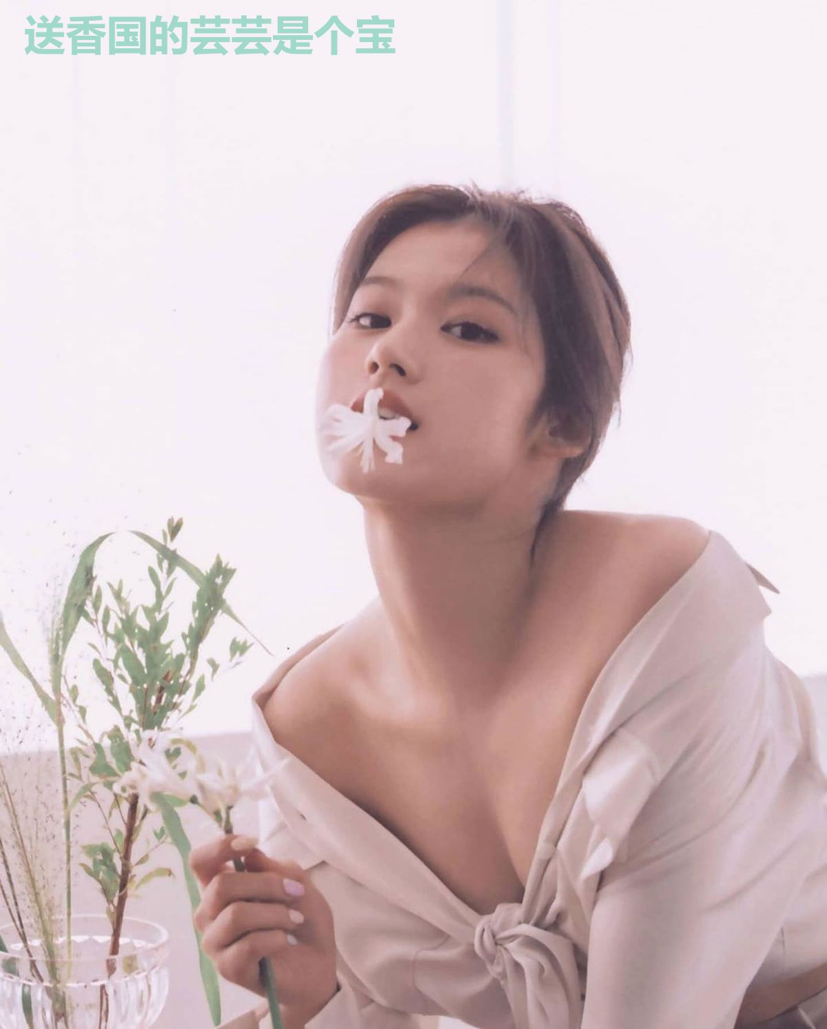 送香国的芸芸是个宝
