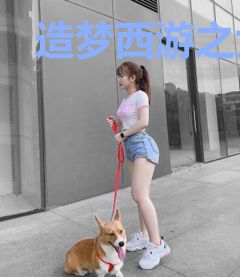 造梦西游之大闹天庭