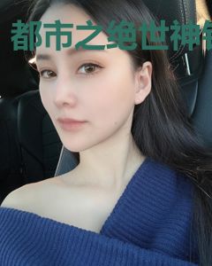 都市之绝世神针