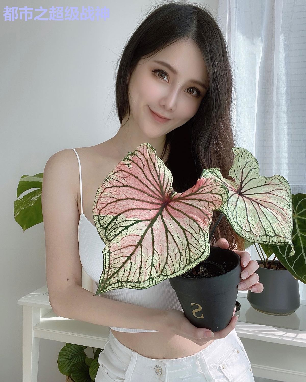 都市之超级战神