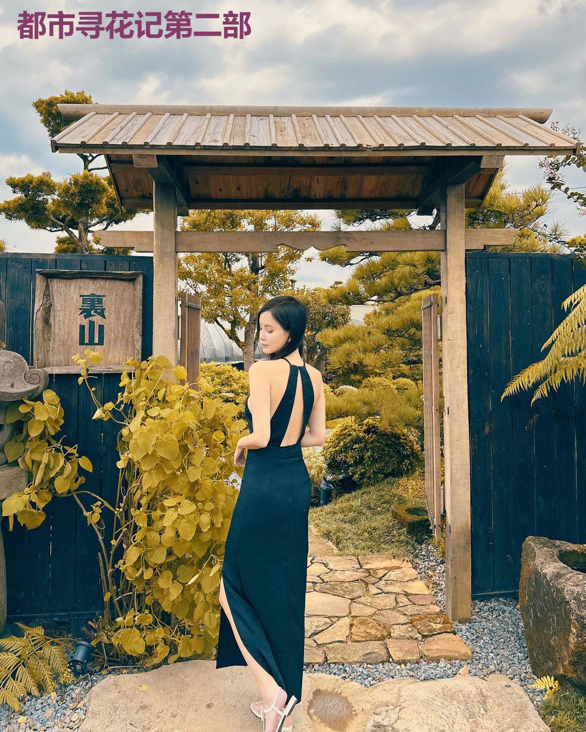 都市寻花记第二部