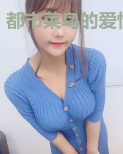 都市菜鸟的爱情