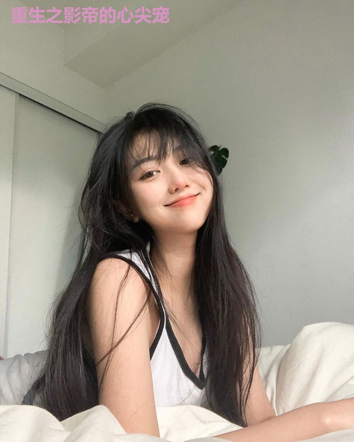 重生之影帝的心尖宠