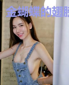 金蝴蝶的翅膀