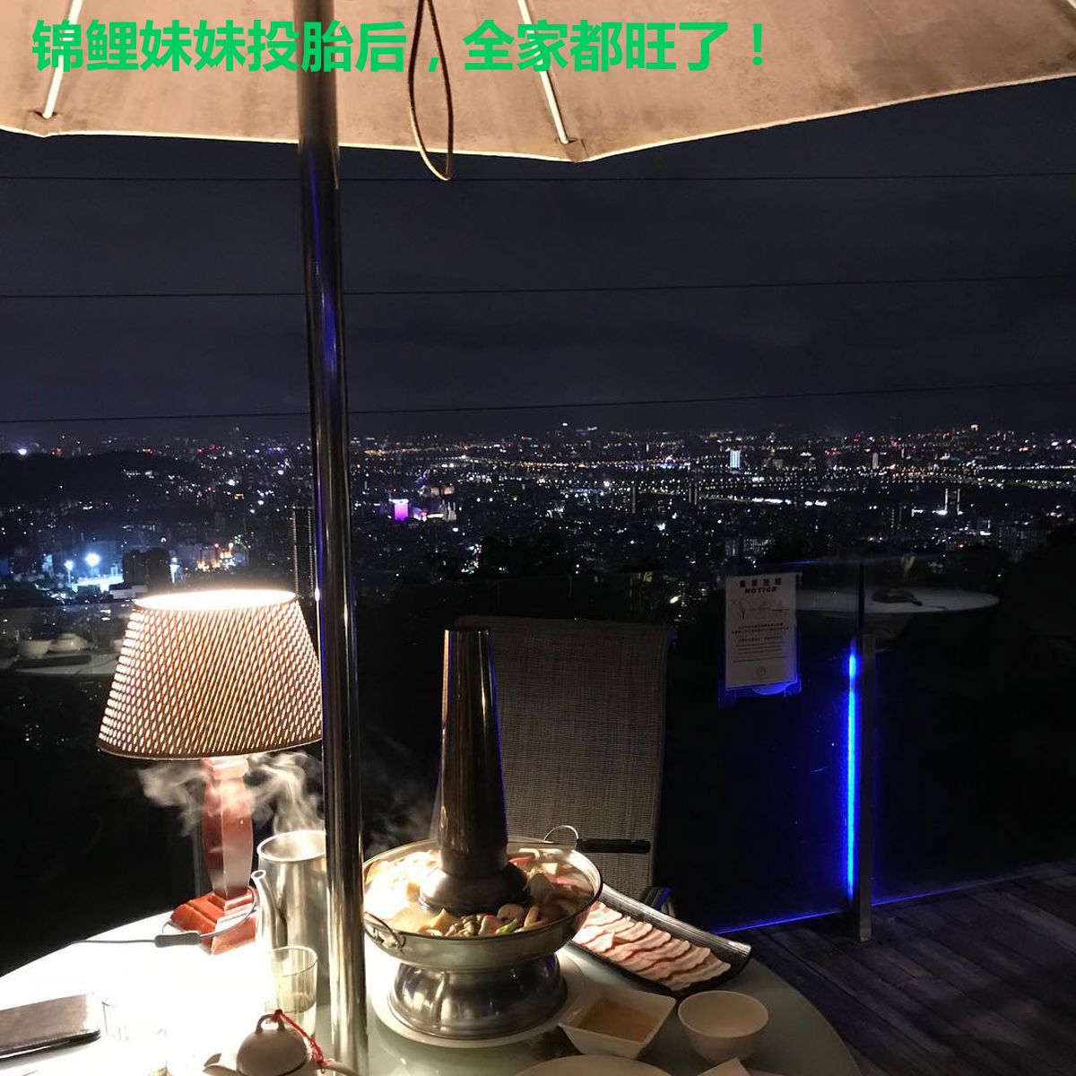 锦鲤妹妹投胎后,全家都旺了!
