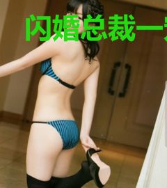 闪婚总裁一宠到底