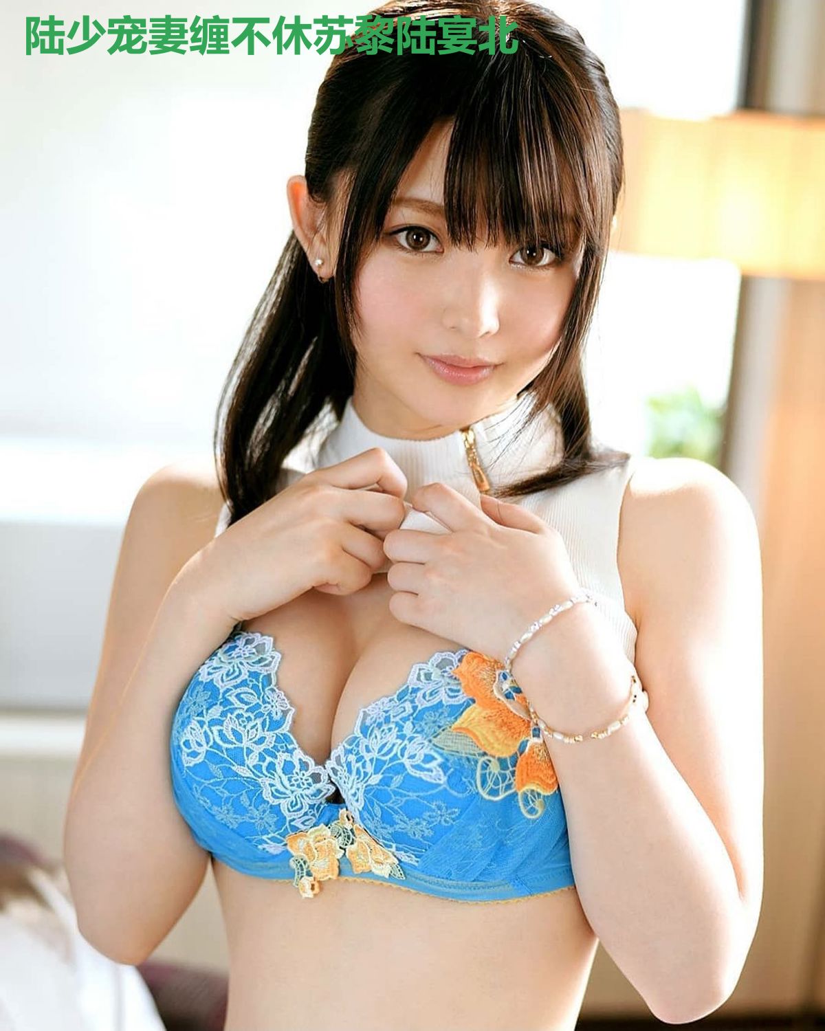 陆少宠妻缠不休苏黎陆宴北