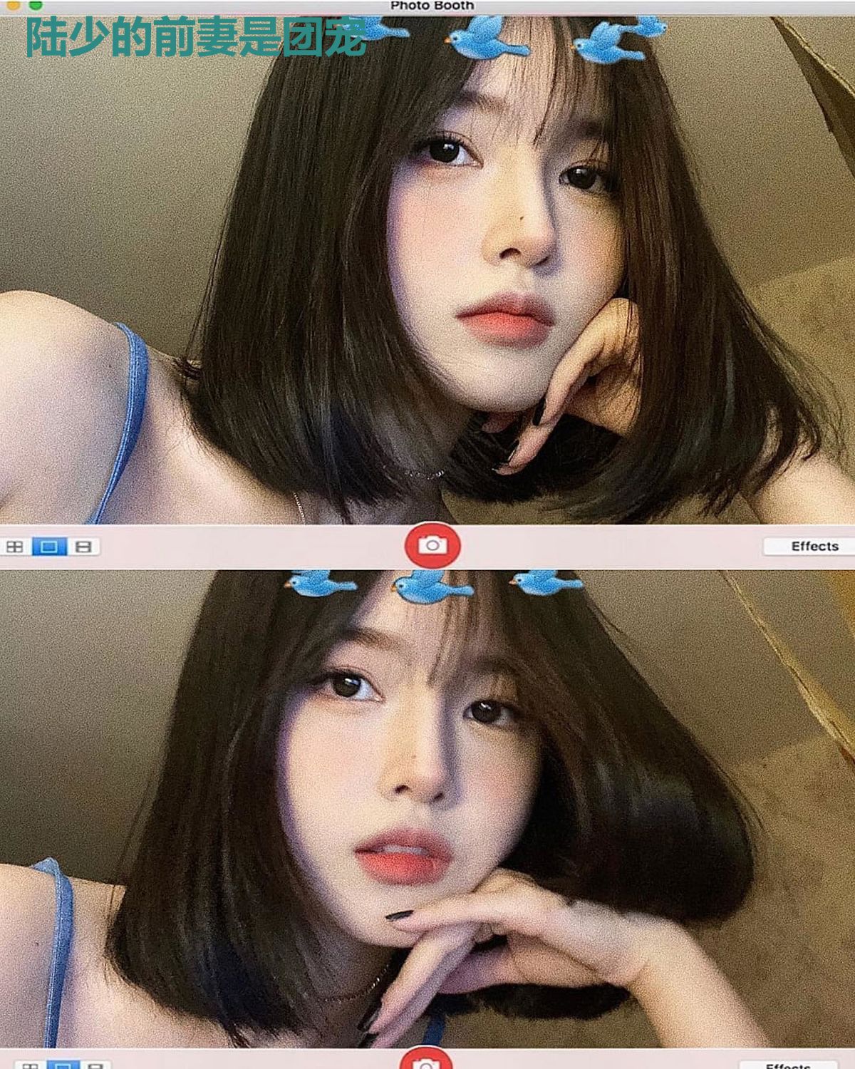 陆少的前妻是团宠
