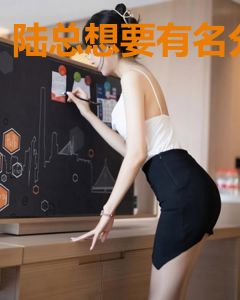 陆总想要有名分
