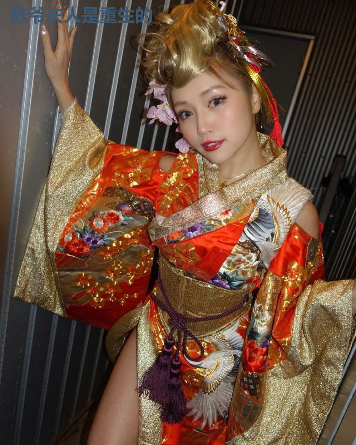 陆爷夫人是重生的