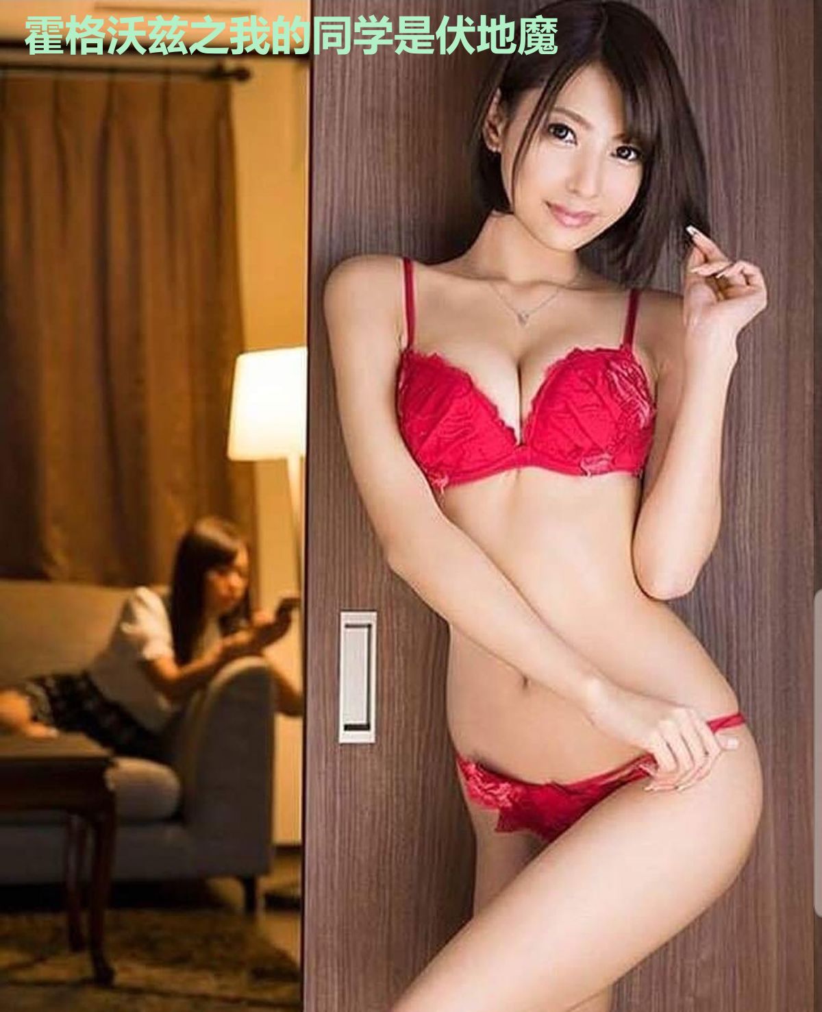 霍格沃兹之我的同学是伏地魔