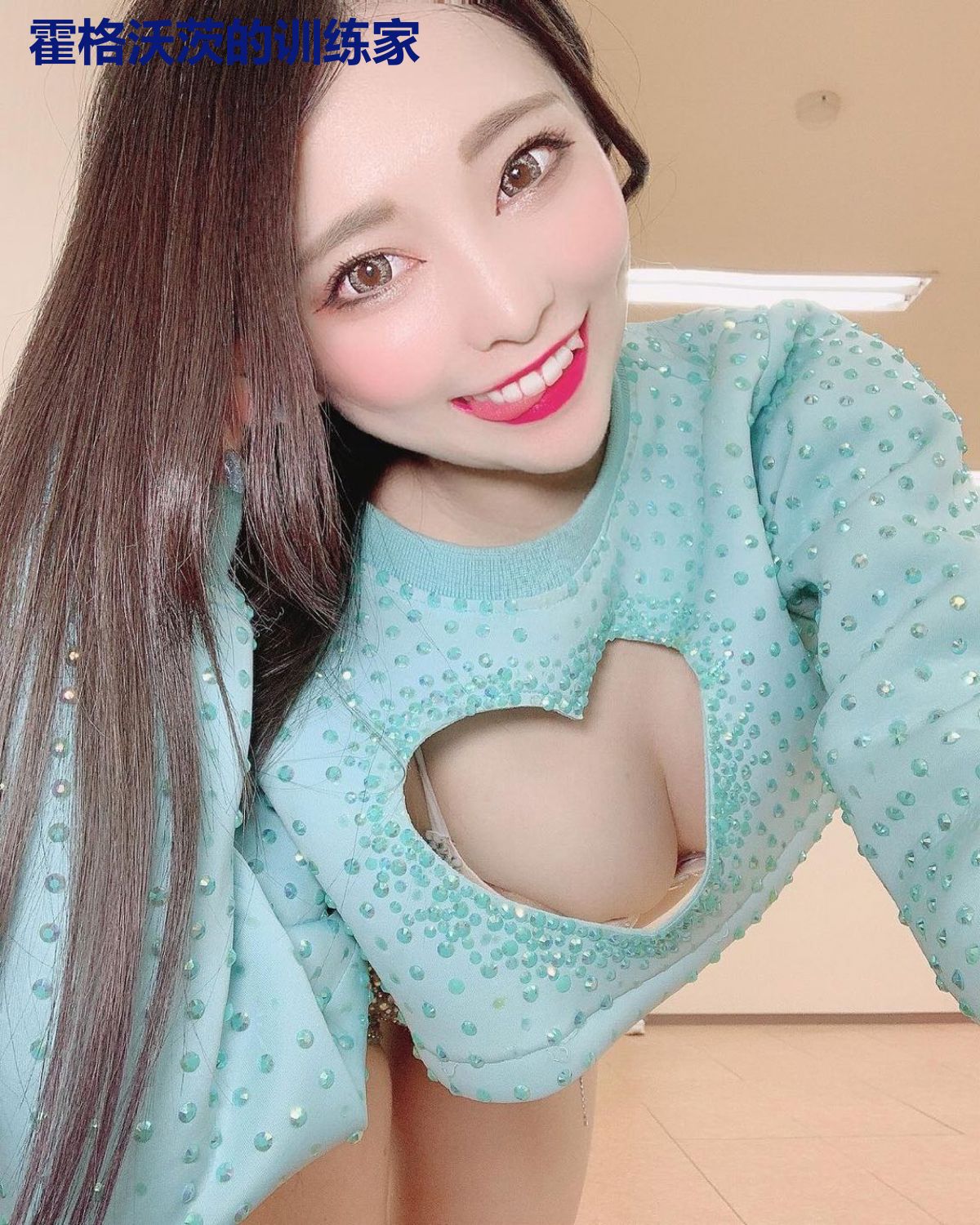 霍格沃茨的训练家